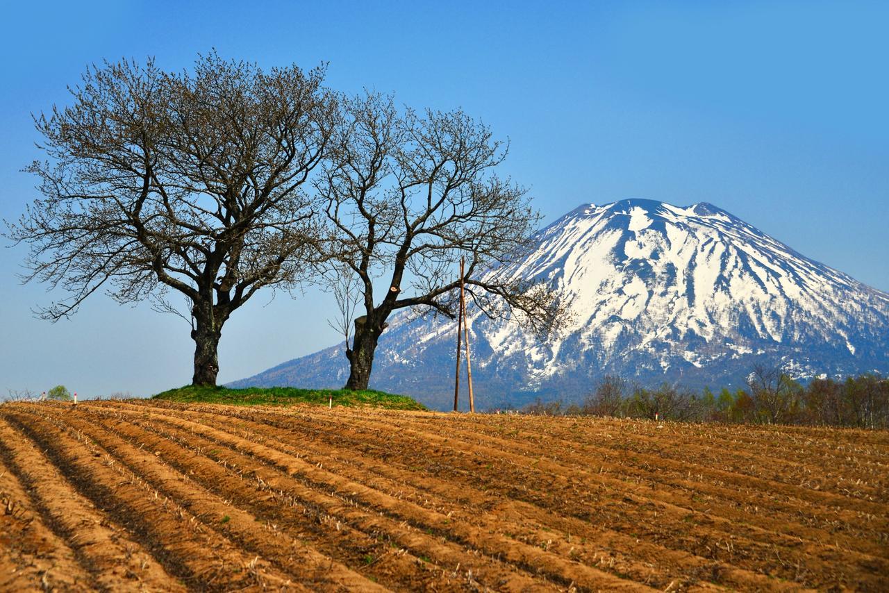 Hotel Niseko Alpen Kutchan Esterno foto